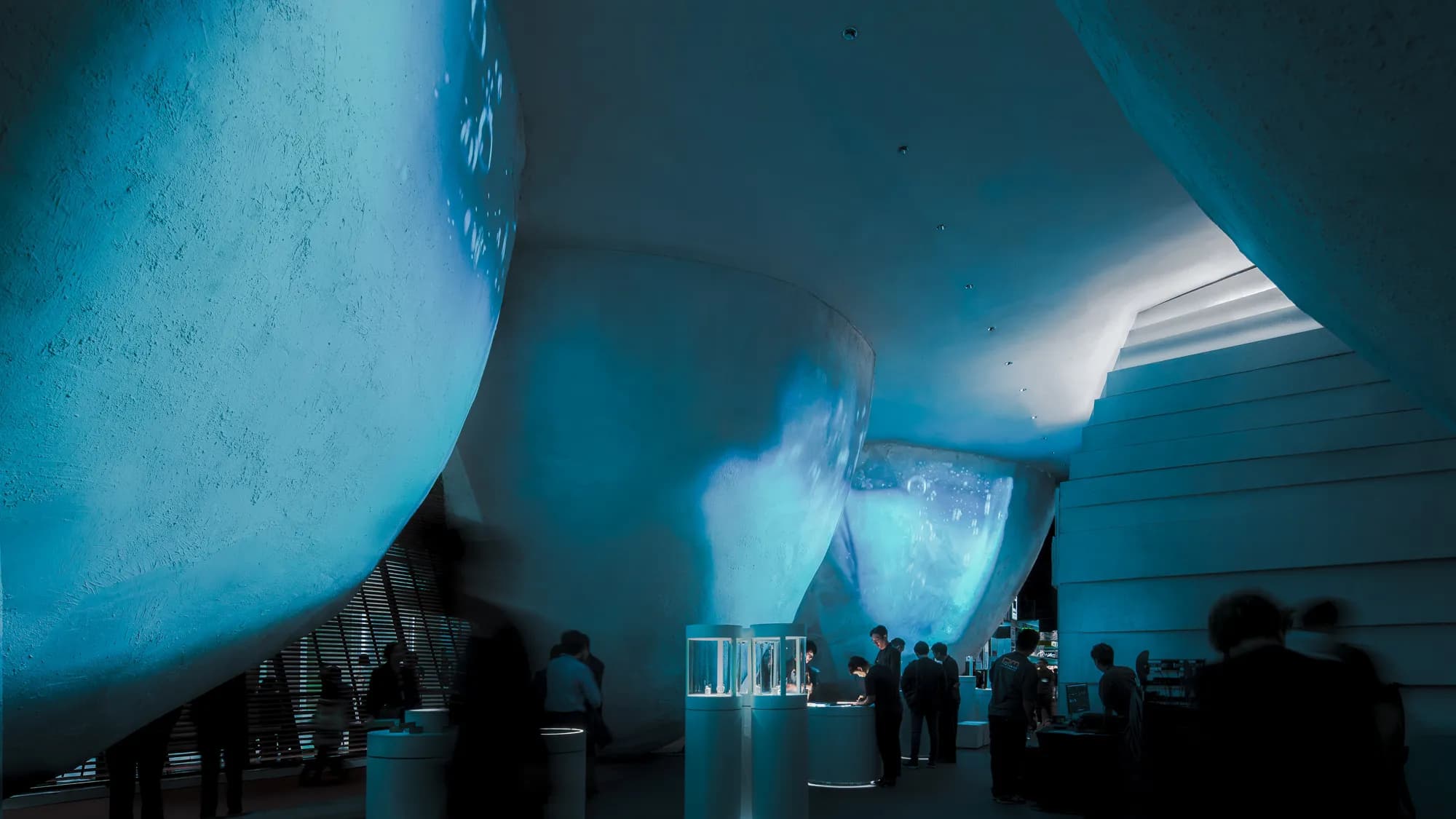 Gallery image 8