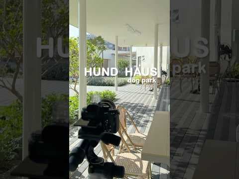 HUND HAUS /dog park